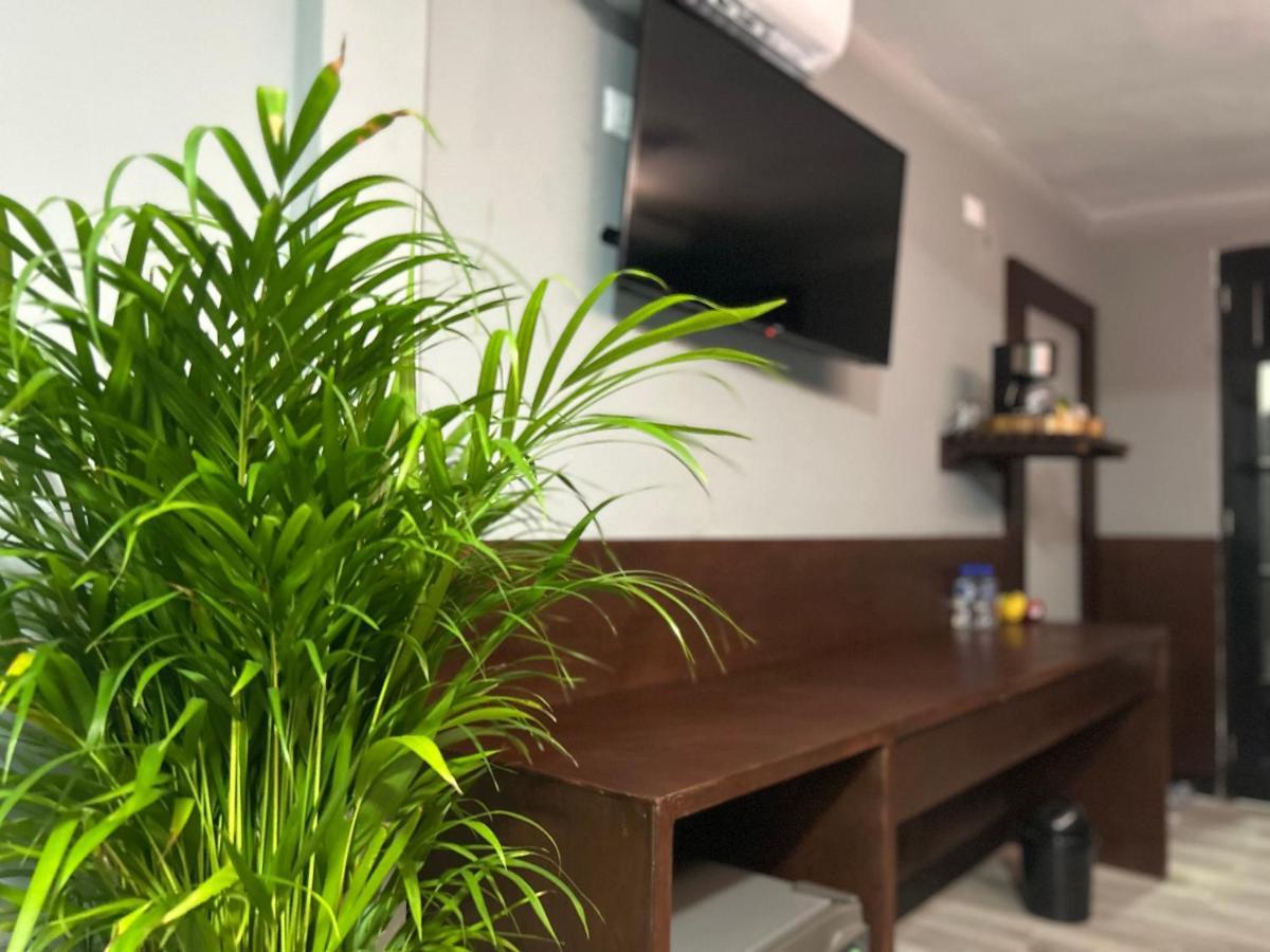 Huasteca Em Suites Ciudad Valles Extérieur photo